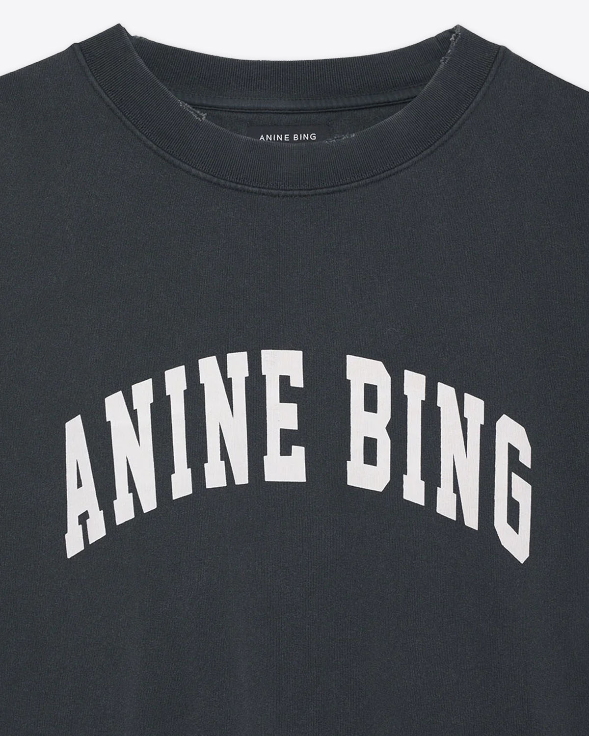 Sweatshirt manches longues Tyler Anine Bing. Vue face.